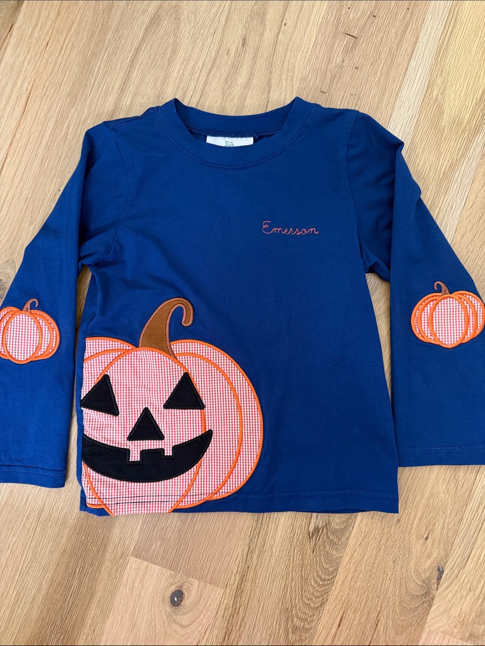 Smockingbird Embroidered “Emerson” Long Sleeve Pumpking Shirt